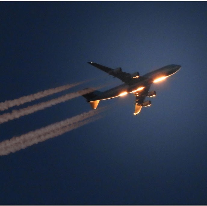 To Honor the Flights program artwork
